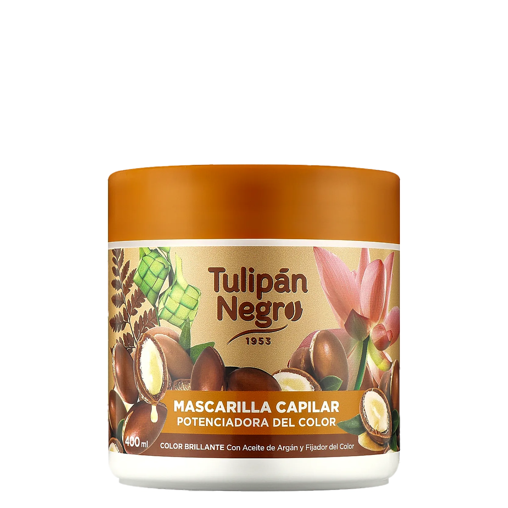 Masque Capillaire Sublimateur de Couleur 400 ml